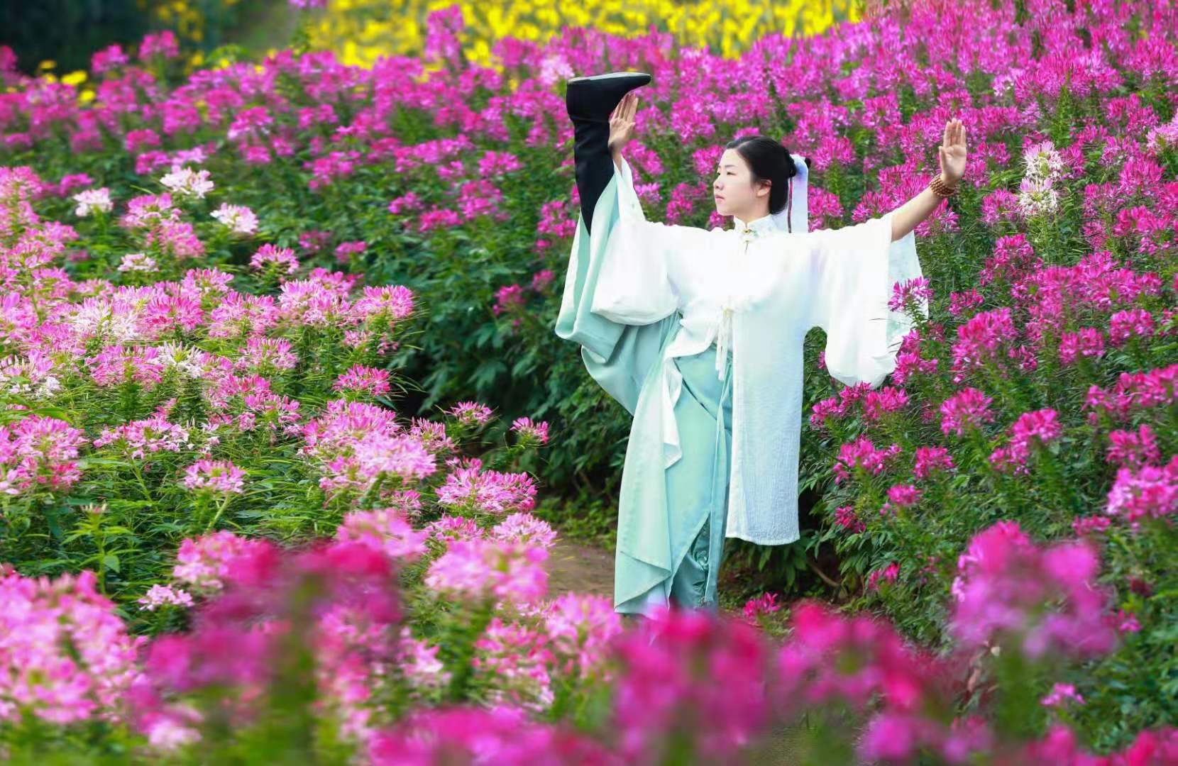 若水武学习练影像