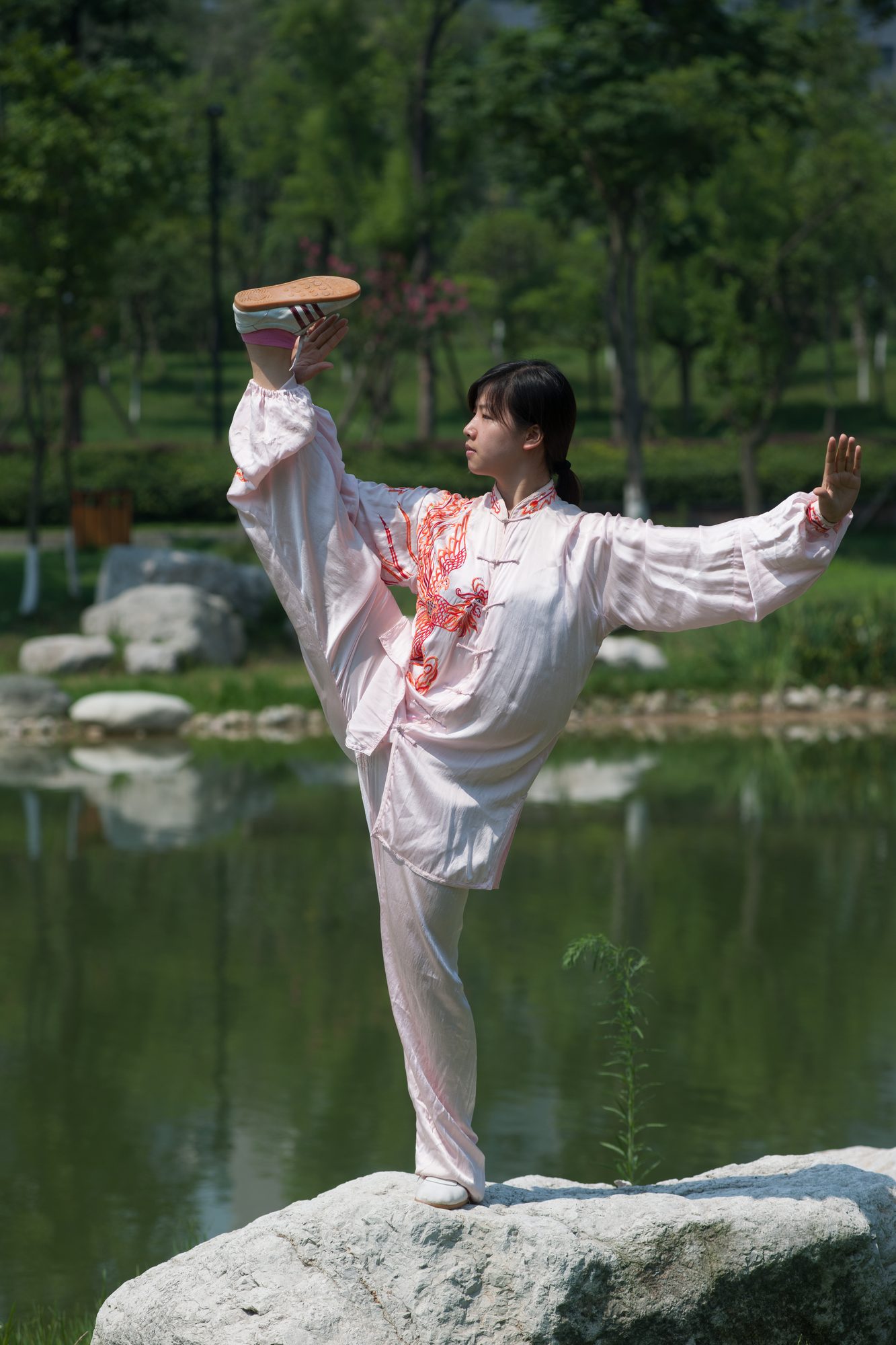 杨凤英 · 若水武学创始人