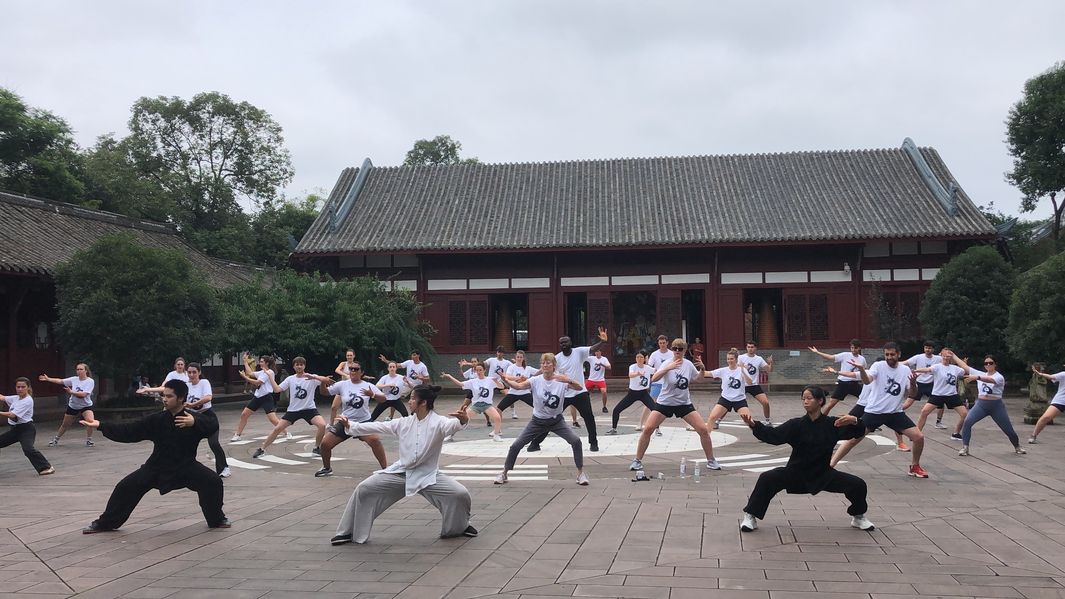 2025法国国家队来馆集训